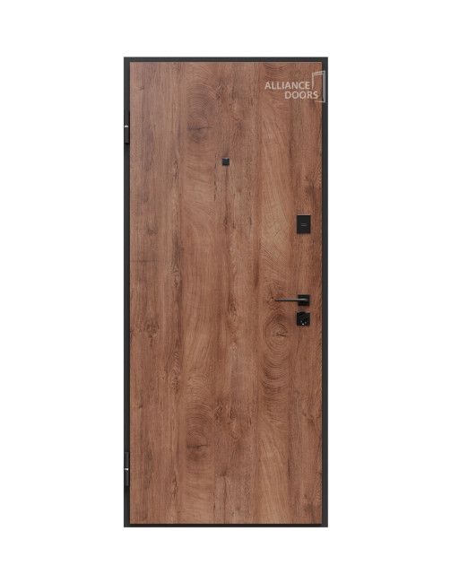 Usa de intrare apartament Porto S