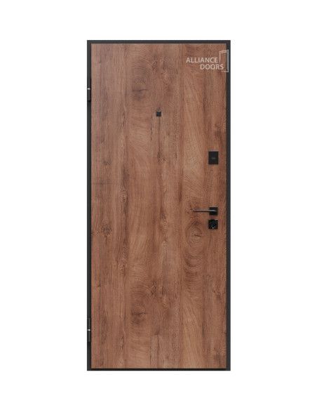 Usa de intrare apartament Porto S