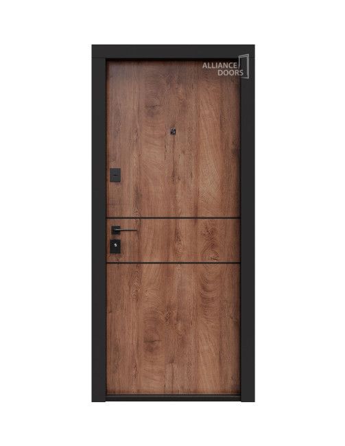 Usa de intrare apartament Porto S