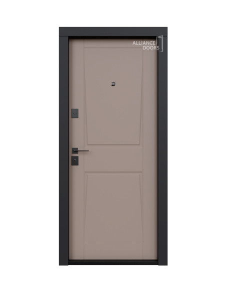 Torino usa intrare apartament